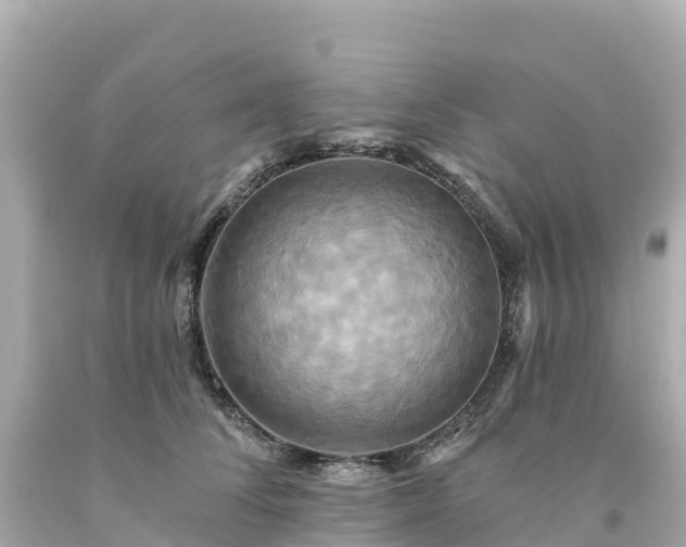 X0000094210708200711021116