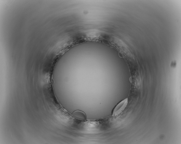 X0000094210711200711021116