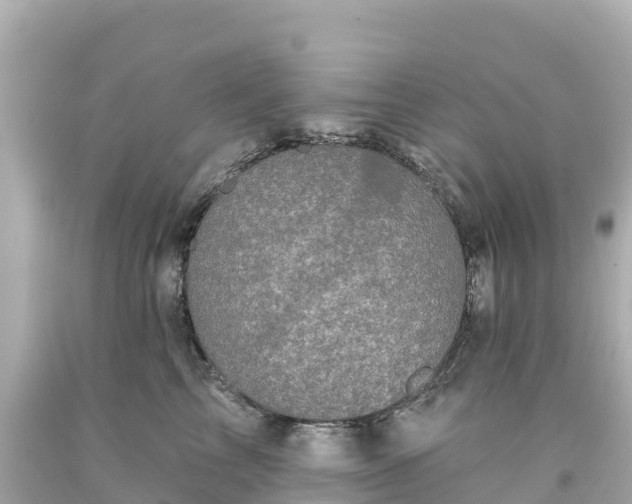 X0000094210713200711021116