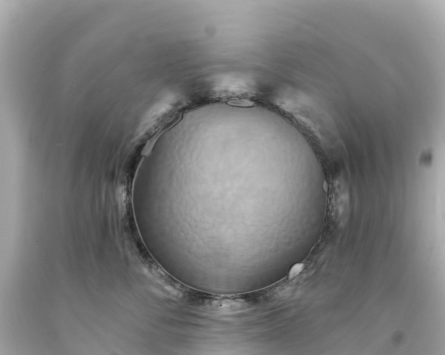 X0000094210716200711021116