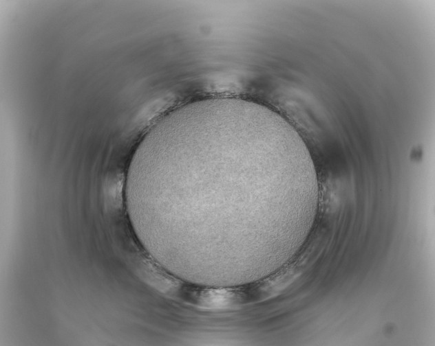 X0000094210717200711021116