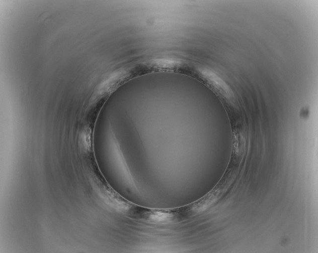 X0000094210718200711021116