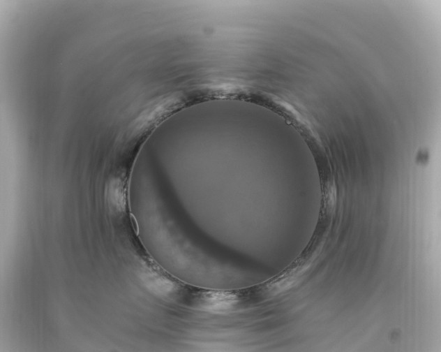 X0000094210719200711021116