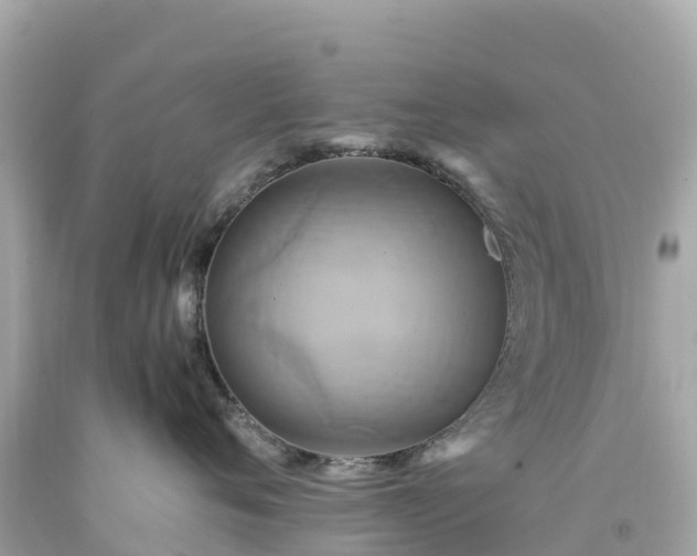 X0000094210720200711021116