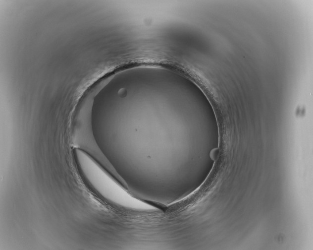 X0000094210721200711021115