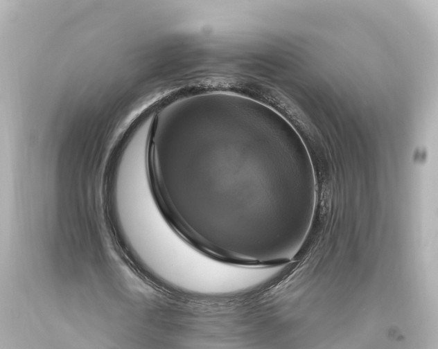 X0000094210722200711021115