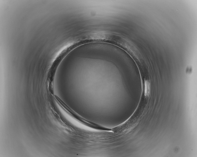 X0000094210723200711021115