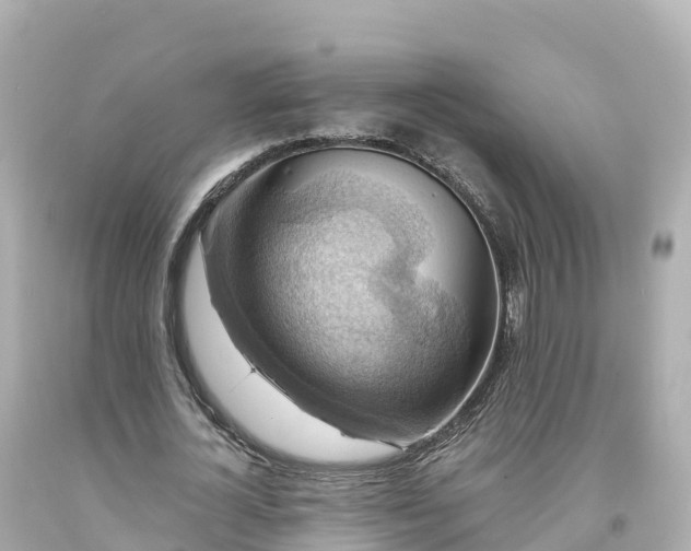 X0000094210724200711021115