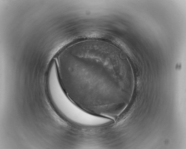X0000094210725200711021115