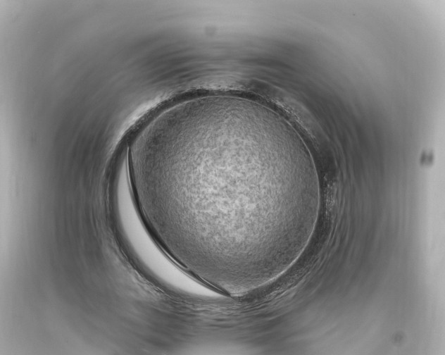 X0000094210727200711021115
