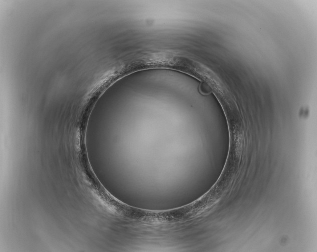 X0000094210729200711021115