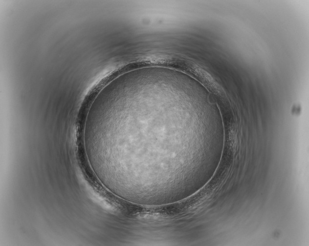 X0000094210730200711021115