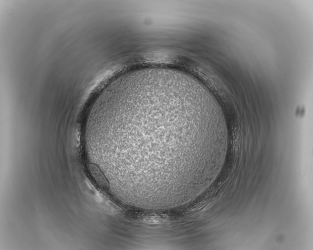 X0000094210731200711021115