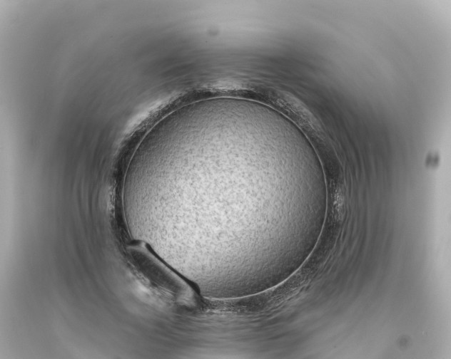 X0000094210732200711021115