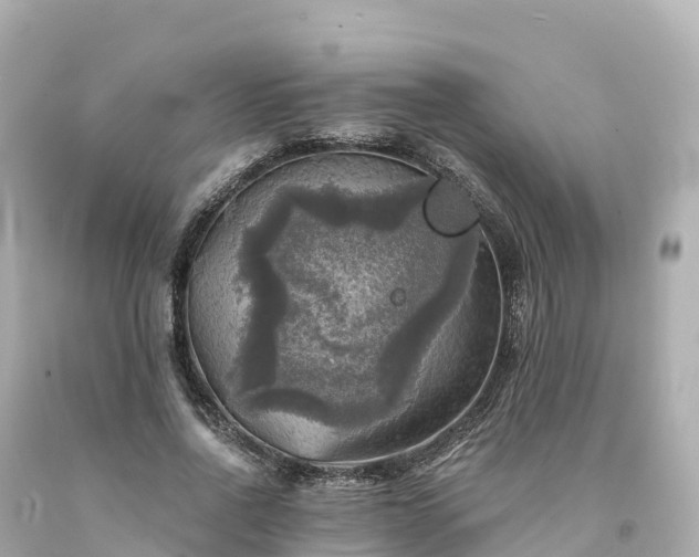 X0000094210734200711021115
