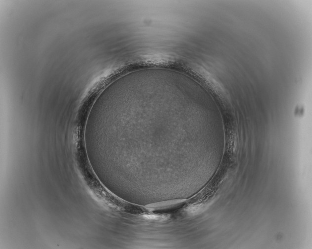 X0000094210736200711021115