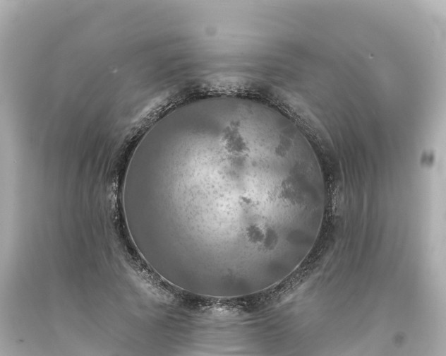 X0000094210737200711021115