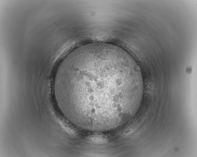 X0000094210738200711021115