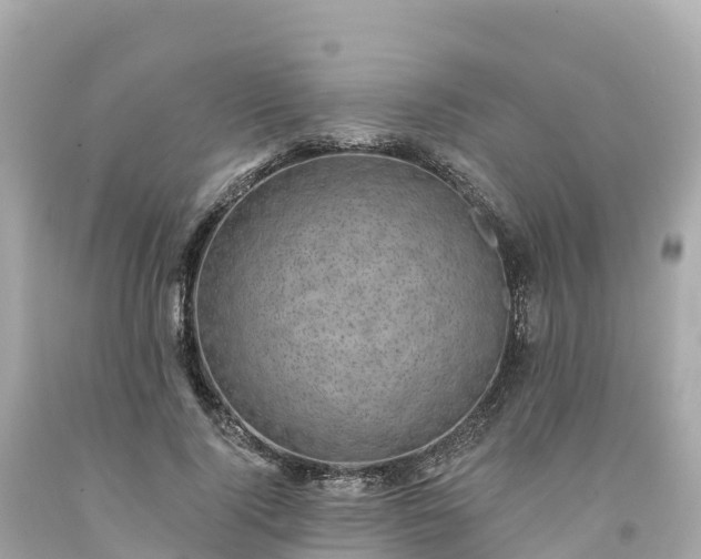 X0000094210740200711021115