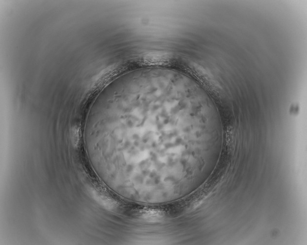 X0000094210741200711021115