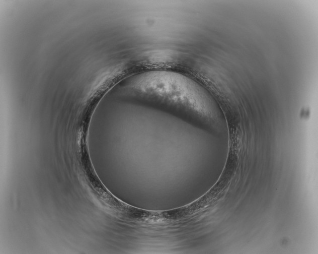 X0000094210742200711021115