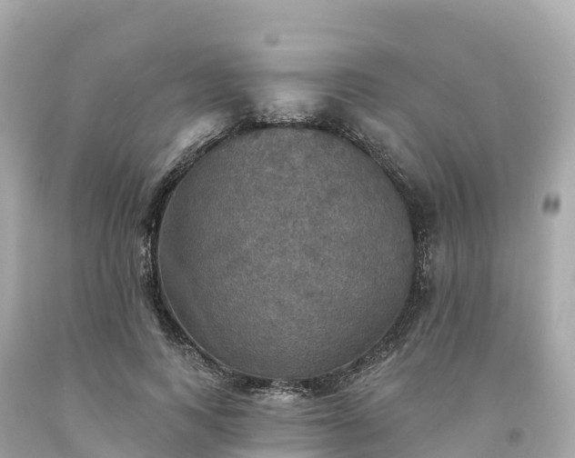 X0000094210743200711021115