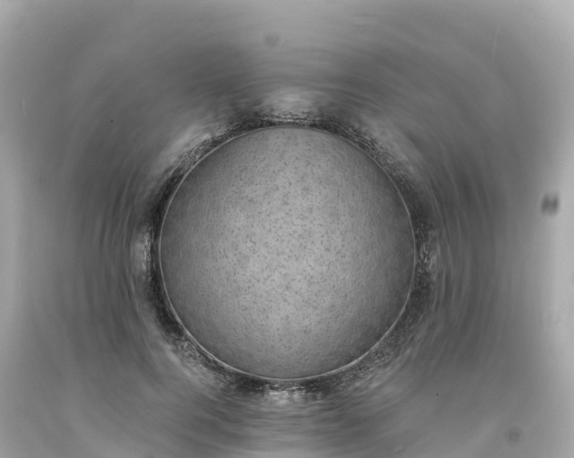 X0000094210744200711021115