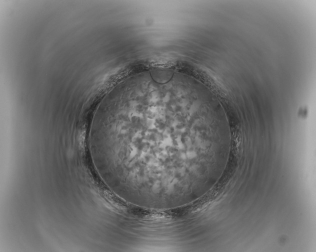 X0000094210745200711021115