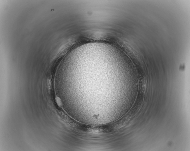 X0000094210746200711021115