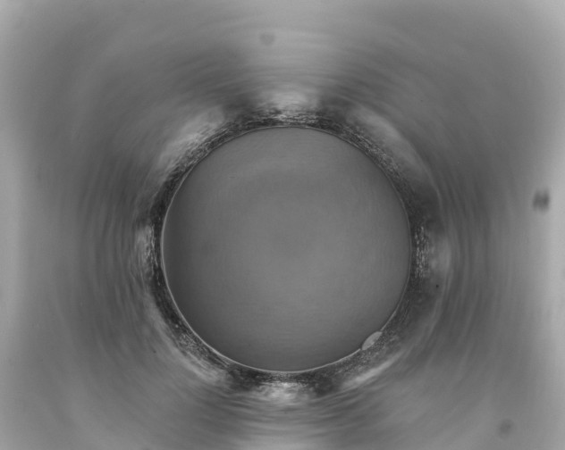 X0000094210748200711021115