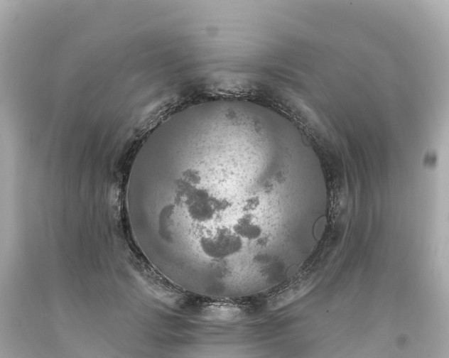 X0000094210749200711021115