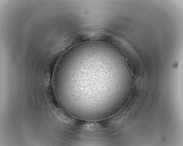 X0000094210752200711021115