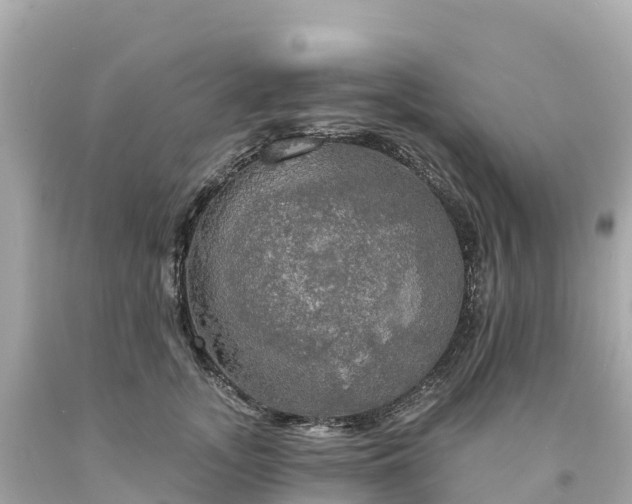 X0000094210755200711021115