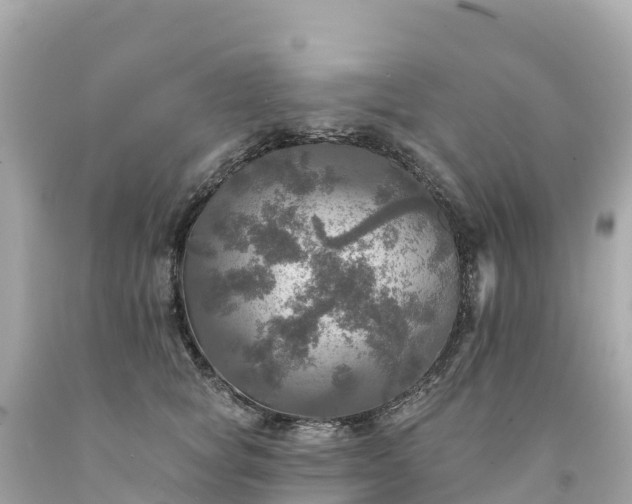 X0000094210757200711021115