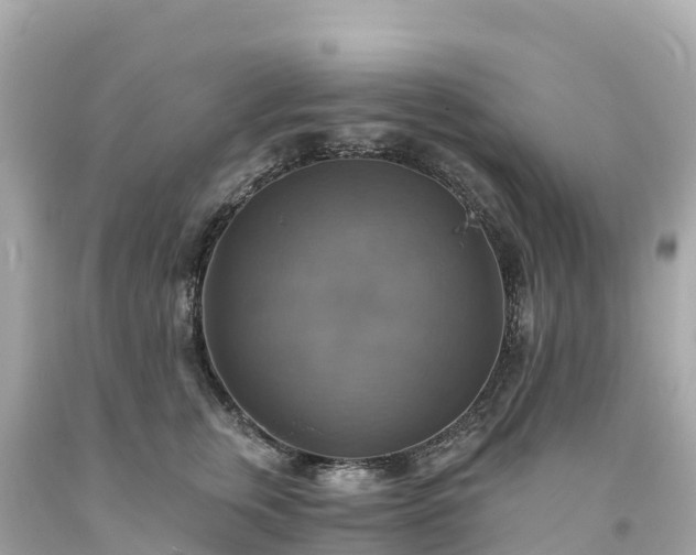 X0000094210759200711021115