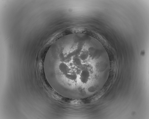 X0000094210761200711021115
