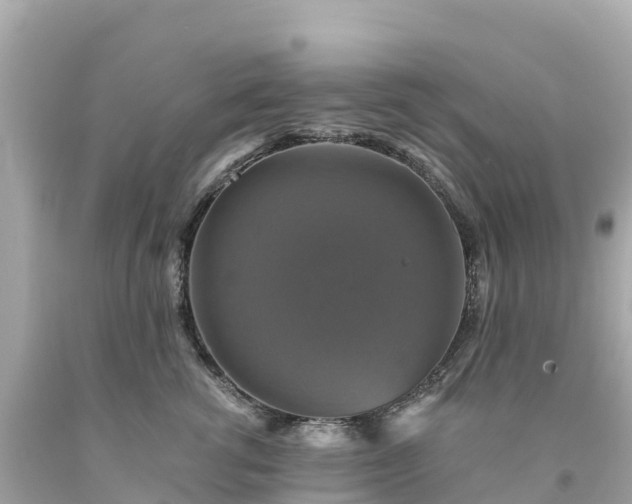 X0000094210762200711021115