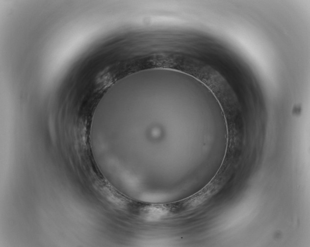 X0000094210765200711021115