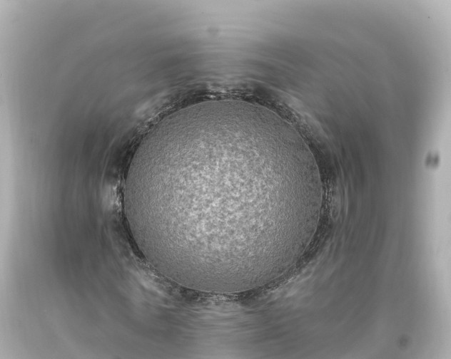 X0000094210770200711021115