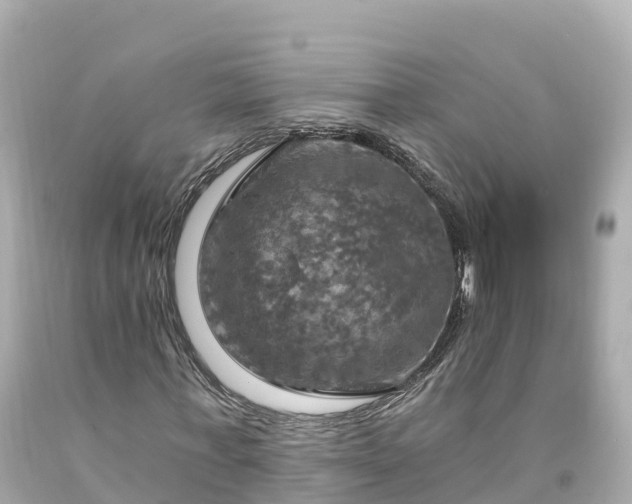 X0000094210771200711021115