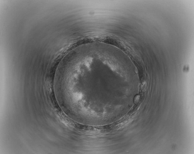 X0000094210772200711021115