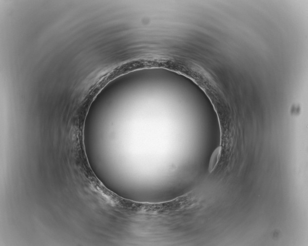 X0000094210773200711021115