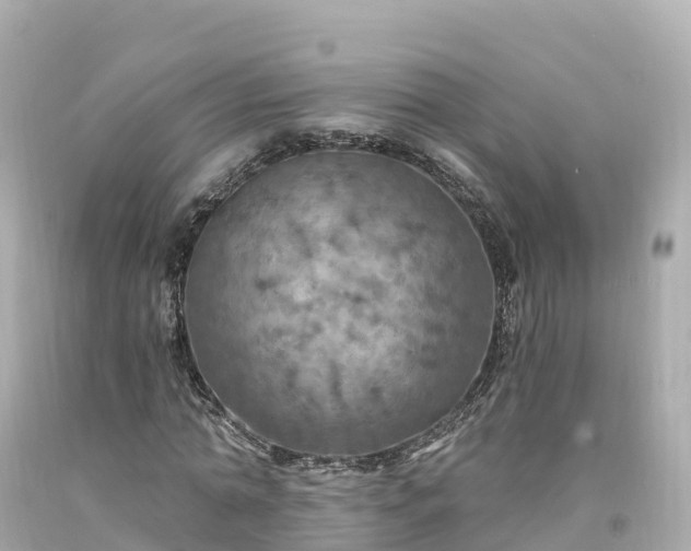 X0000094210774200711021115
