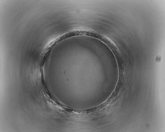 X0000094210775200711021115