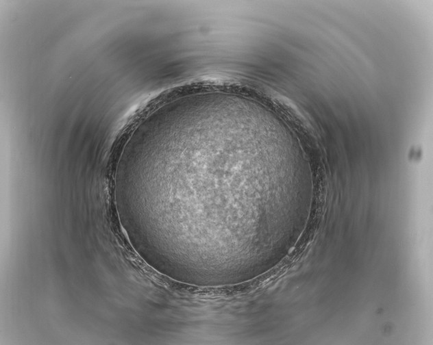 X0000094210776200711021115