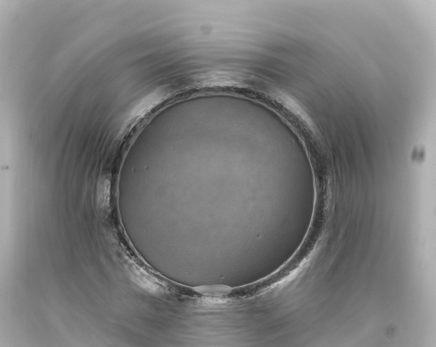 X0000094210777200711021115