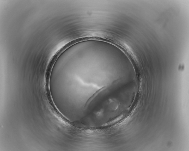 X0000094210780200711021115