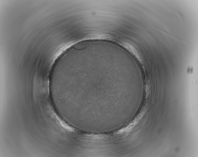 X0000094210781200711021115