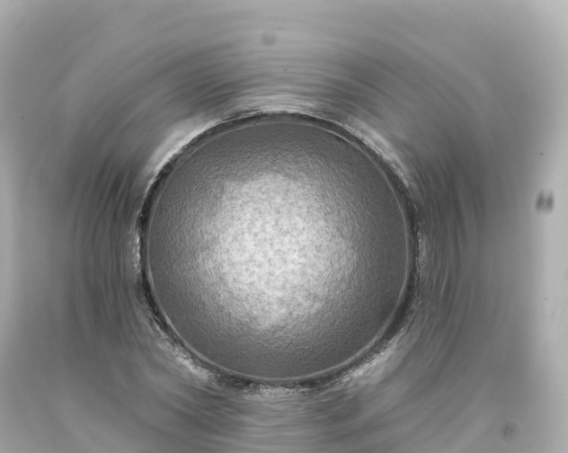 X0000094210782200711021115