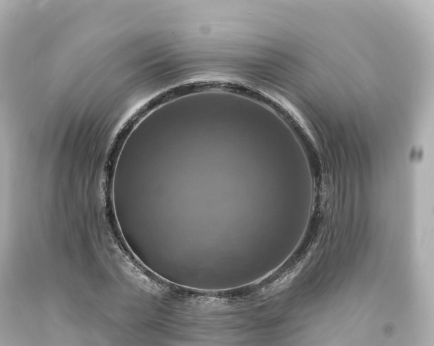 X0000094210783200711021115